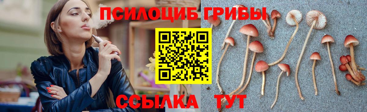 Галлюциногенные грибы Psilocybine cubensis  Вход с VPN  Канаш 